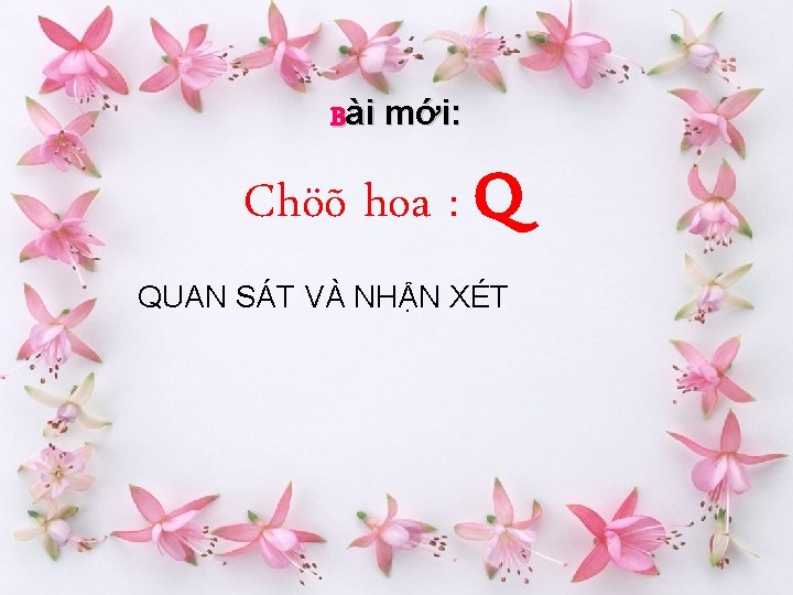 Bài mới: Chöõ hoa : Q QUAN SÁT VÀ NHẬN XÉT 