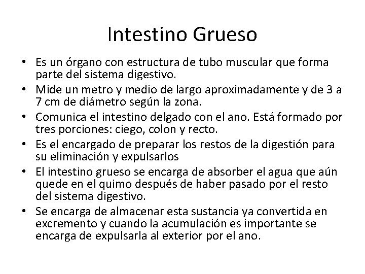 Intestino Grueso • Es un órgano con estructura de tubo muscular que forma parte