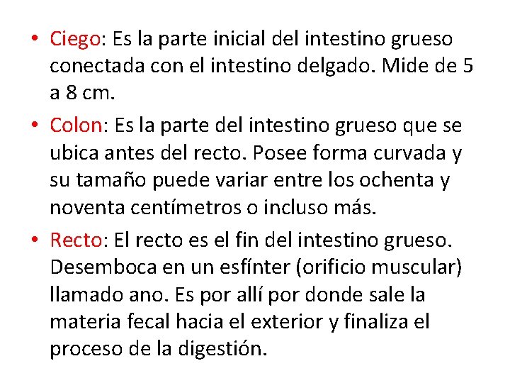  • Ciego: Es la parte inicial del intestino grueso conectada con el intestino