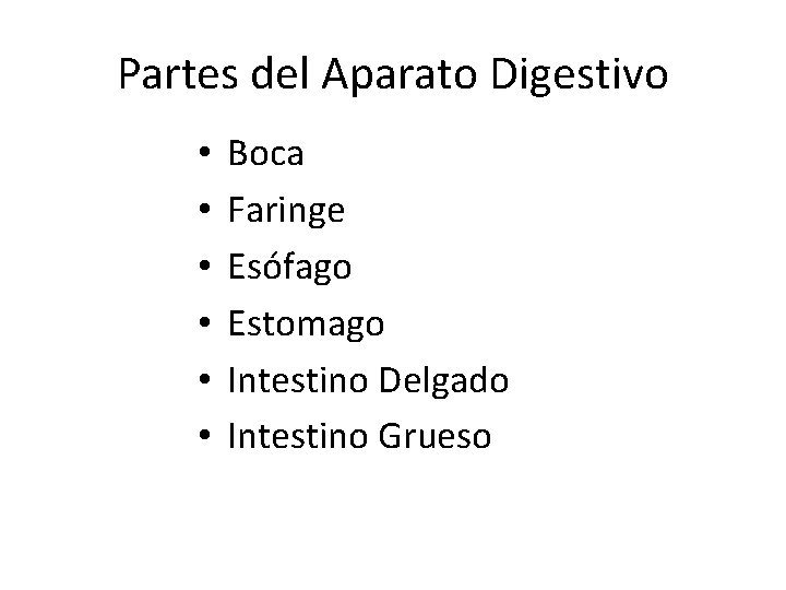 Partes del Aparato Digestivo • • • Boca Faringe Esófago Estomago Intestino Delgado Intestino