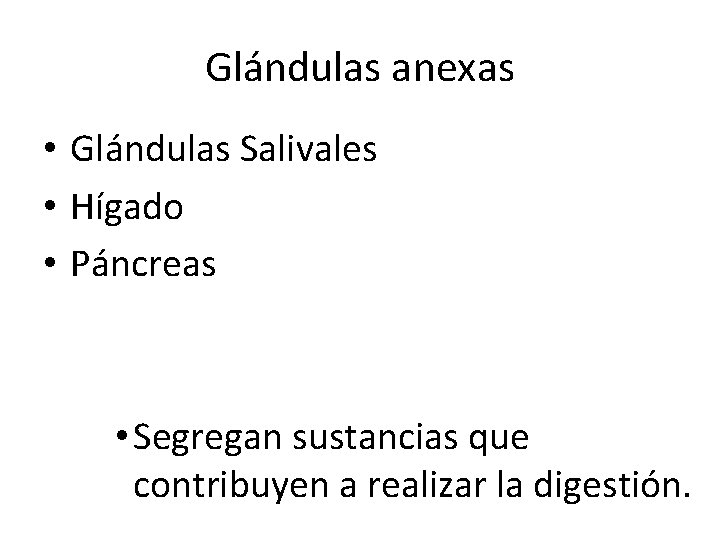 Glándulas anexas • Glándulas Salivales • Hígado • Páncreas • Segregan sustancias que contribuyen