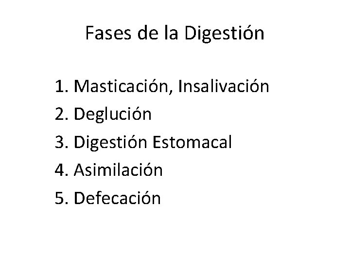 Fases de la Digestión 1. Masticación, Insalivación 2. Deglución 3. Digestión Estomacal 4. Asimilación