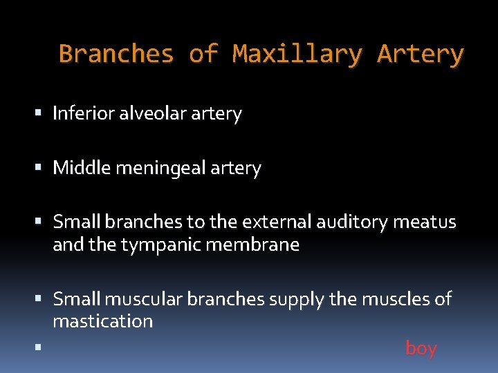 Branches of Maxillary Artery Inferior alveolar artery Middle meningeal artery Small branches to the