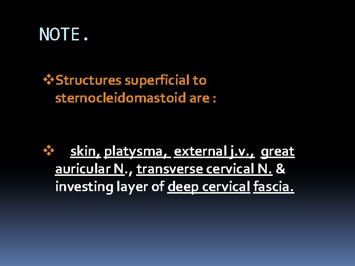 NOTE. v. Structures superficial to sternocleidomastoid are : v skin, platysma, external j. v.