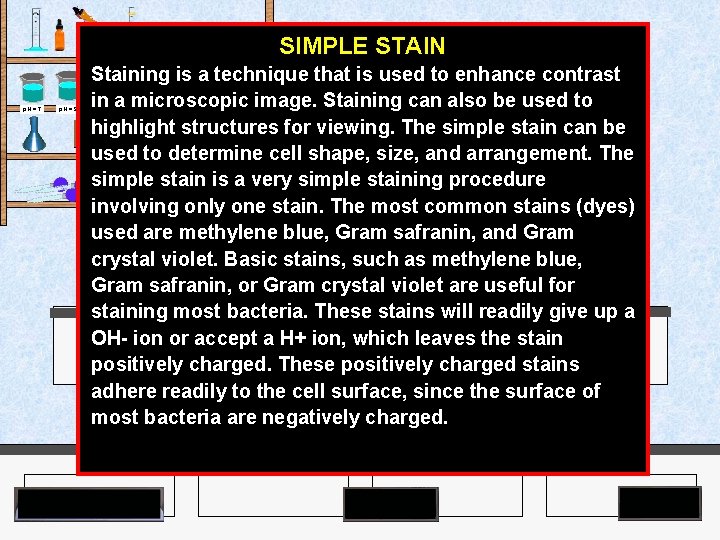 Agar Plates p. H = 7 p. H = 9 SIMPLE STAIN Staining is