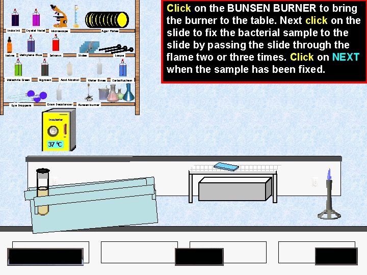 India Ink Iodine Crystal Violet Methylene Blue Malachite Green Eye Droppers Agar Plates Microscope