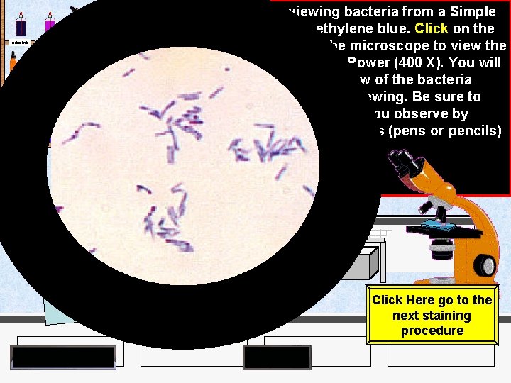 India Ink Iodine Crystal Violet Methylene Blue Malachite Green Eye Droppers Agar Plates Microscope