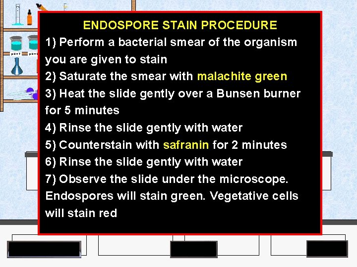 ENDOSPORE STAIN PROCEDURE 1) Perform a bacterial smear of the organism you are given