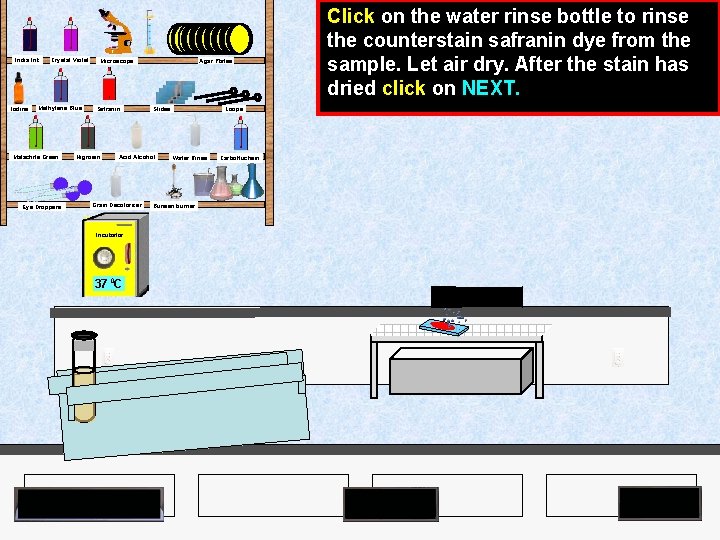 India Ink Iodine Crystal Violet Methylene Blue Malachite Green Eye Droppers Agar Plates Microscope