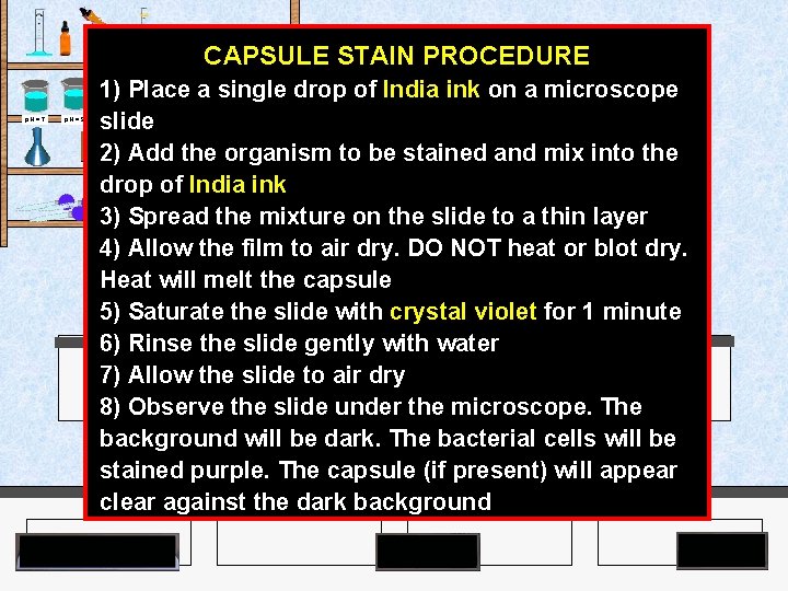 CAPSULE STAIN PROCEDURE Agar Plates p. H = 7 p. H = 9 1)