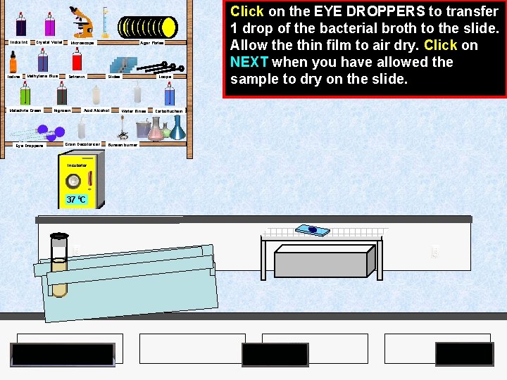 India Ink Iodine Crystal Violet Methylene Blue Malachite Green Eye Droppers Agar Plates Microscope