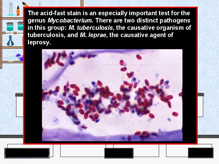 The acid-fast stain is an especially important test for the genus Mycobacterium. There are