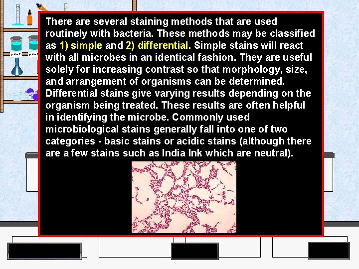 There are several staining methods that are used routinely with bacteria. These methods may