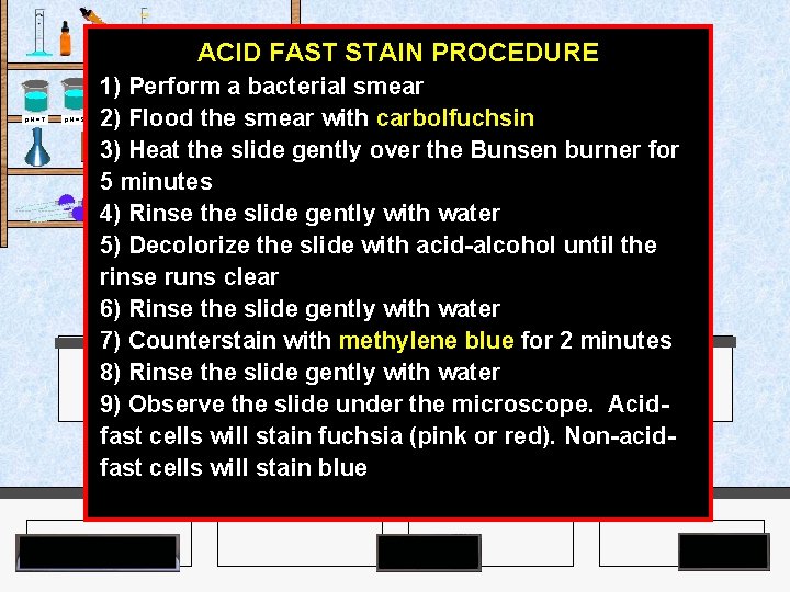 ACID FAST STAIN PROCEDURE Agar Plates p. H = 7 p. H = 9