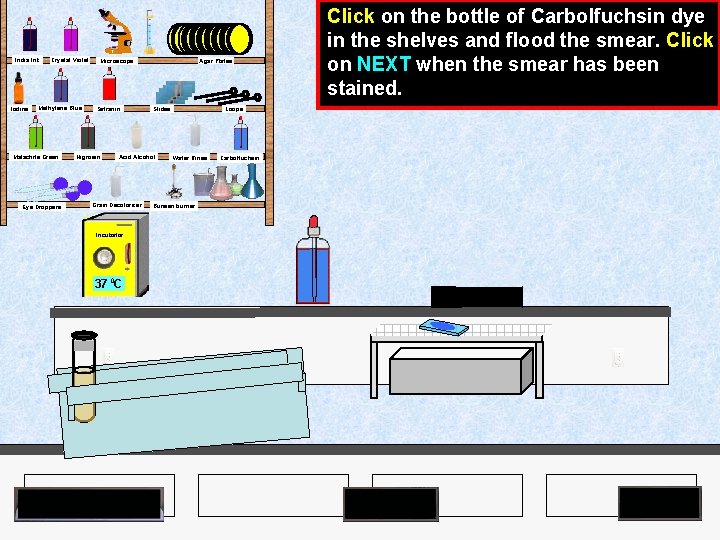 India Ink Iodine Crystal Violet Methylene Blue Malachite Green Eye Droppers Agar Plates Microscope
