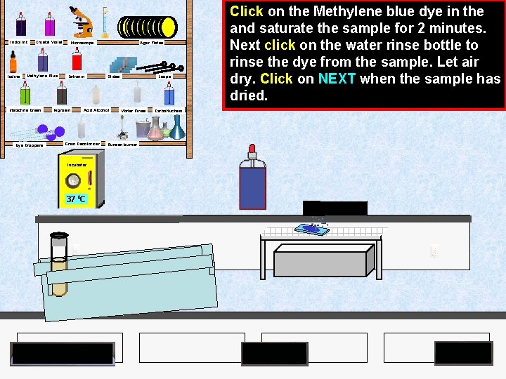 India Ink Iodine Crystal Violet Methylene Blue Malachite Green Eye Droppers Agar Plates Microscope