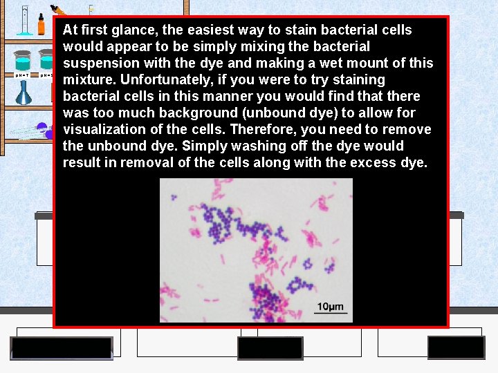 At first glance, the easiest way to stain bacterial cells would appear to be