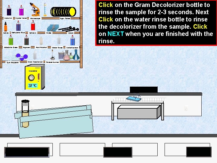 India Ink Iodine Crystal Violet Methylene Blue Malachite Green Eye Droppers Agar Plates Microscope