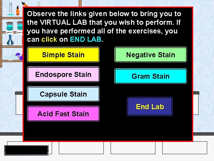 Observe the links given below to bring you to the VIRTUAL LAB that you