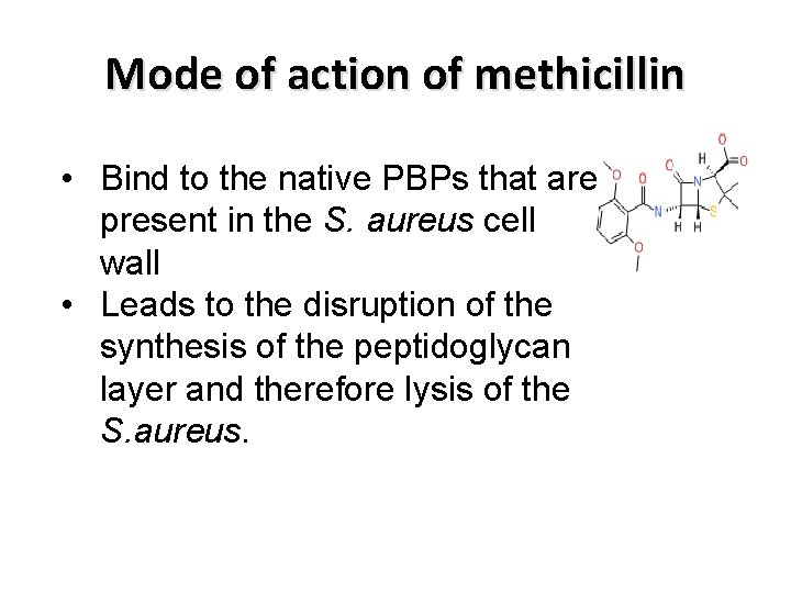 Mode of action of methicillin • Bind to the native PBPs that are present