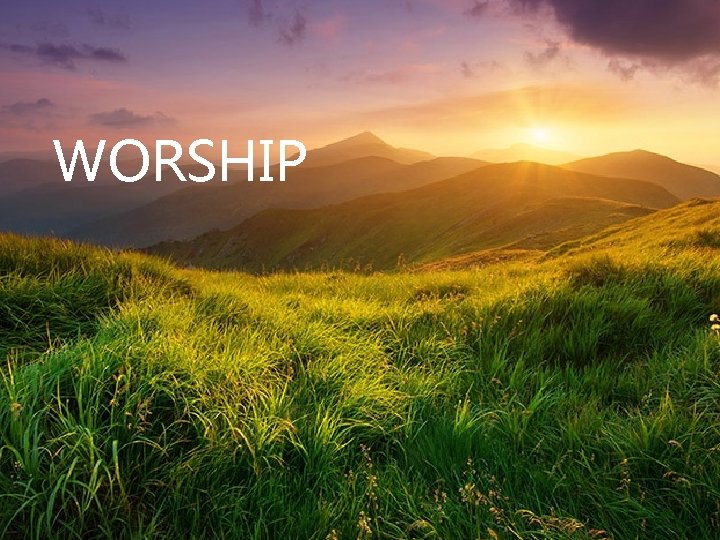 WORSHIP WORSHIP