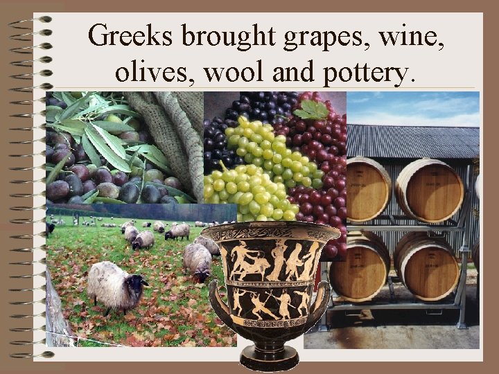 Greeks brought grapes, wine, olives, wool and pottery. 