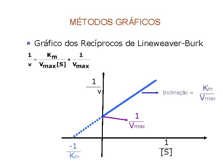 MÉTODOS GRÁFICOS û Gráfico dos Recíprocos de Lineweaver-Burk 1 v Inclinação = 1 Vmax