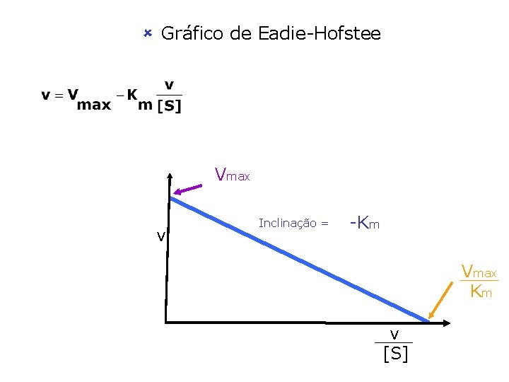 û Gráfico de Eadie-Hofstee Vmax v Inclinação = -Km Vmax Km v [S] 