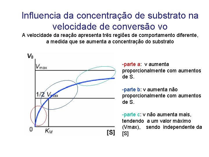 Influencia da concentração de substrato na velocidade de conversão vo A velocidade da reação