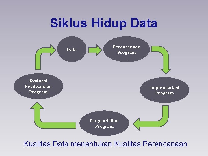 Siklus Hidup Data Perencanaan Program Evaluasi Pelaksanaan Program Implementasi Program Pengendalian Program Kualitas Data