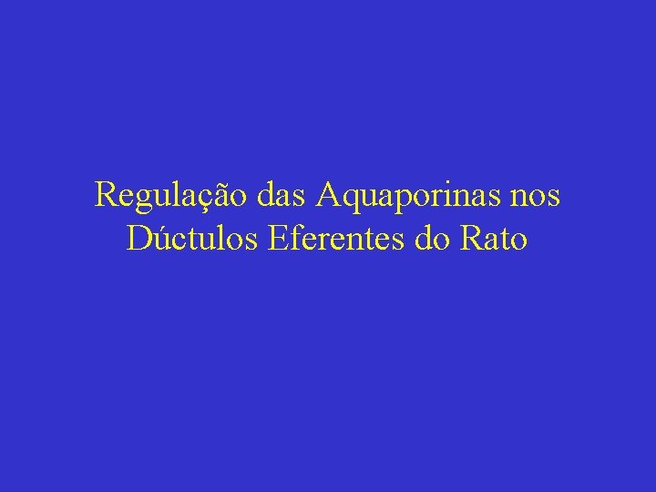 Regulação das Aquaporinas nos Dúctulos Eferentes do Rato 