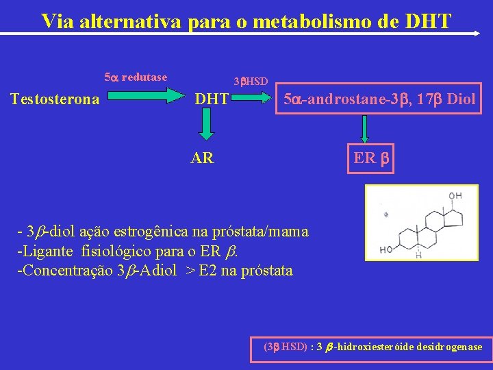 Via alternativa para o metabolismo de DHT 5 redutase Testosterona 3 HSD DHT 5