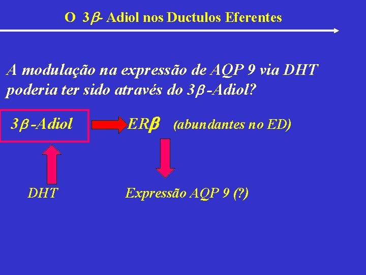 O 3 - Adiol nos Ductulos Eferentes A modulação na expressão de AQP 9