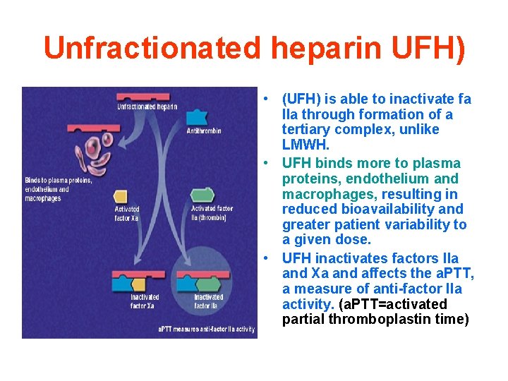 Unfractionated heparin UFH) • (UFH) is able to inactivate fa IIa through formation of