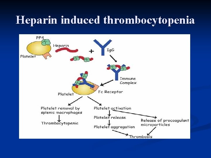 Heparin induced thrombocytopenia 