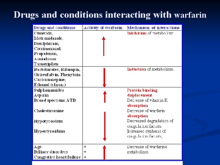 Drugs and conditions interacting with warfarin 
