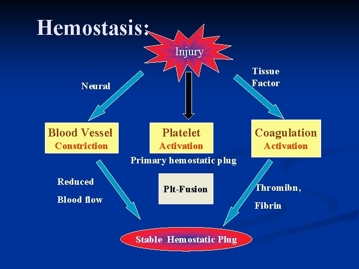 Hemostasis: Injury Tissue Factor Neural Blood Vessel Platelet Coagulation Constriction Activation Primary hemostatic plug