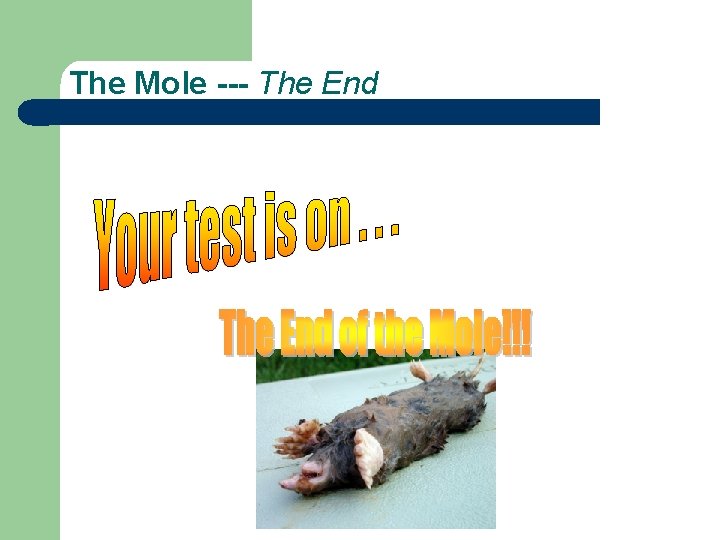 The Mole --- The End 