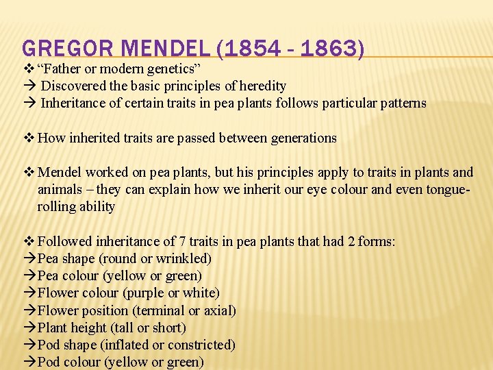 GREGOR MENDEL (1854 - 1863) v “Father or modern genetics” Discovered the basic principles GREGOR MENDEL (1854 - 1863) v “Father or modern genetics” Discovered the basic principles