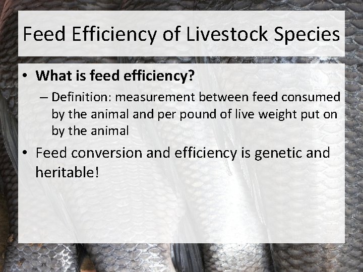 Feed Efficiency of Livestock Species • What is feed efficiency? – Definition: measurement between
