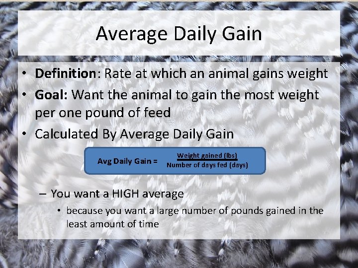 Average Daily Gain • Definition: Rate at which an animal gains weight • Goal: