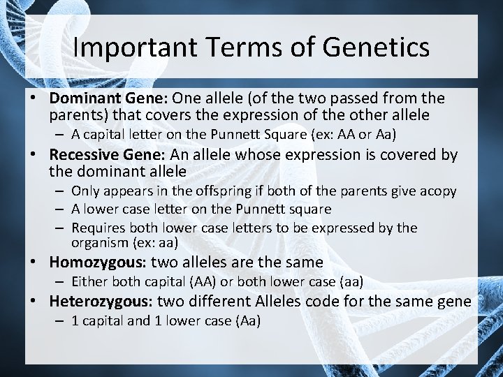 Important Terms of Genetics • Dominant Gene: One allele (of the two passed from