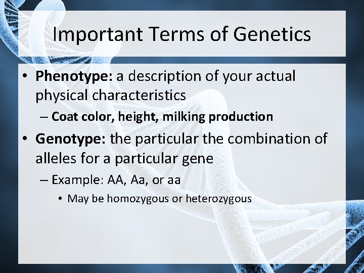Important Terms of Genetics • Phenotype: a description of your actual physical characteristics –