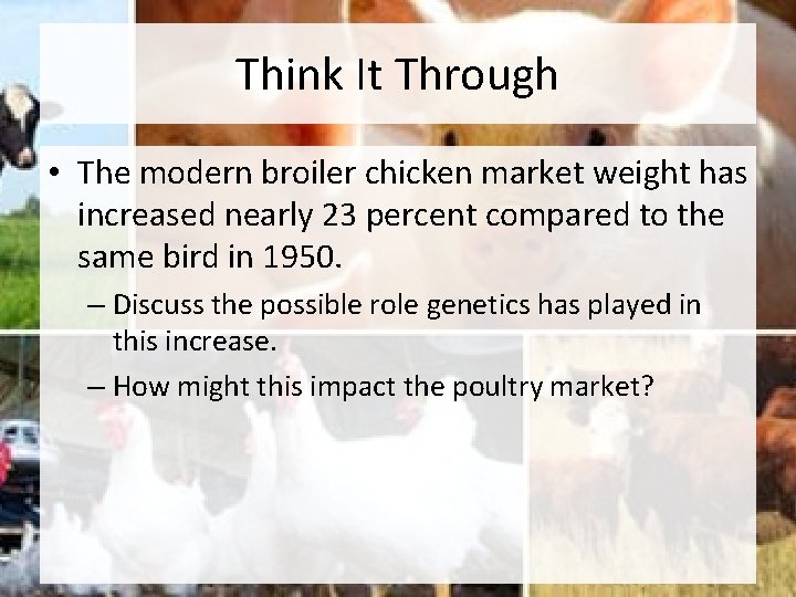 Think It Through • The modern broiler chicken market weight has increased nearly 23