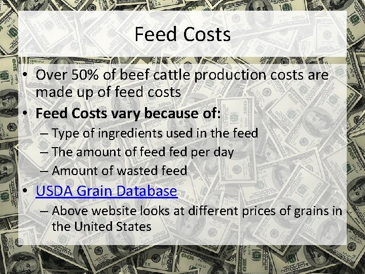 Feed Costs • Over 50% of beef cattle production costs are made up of