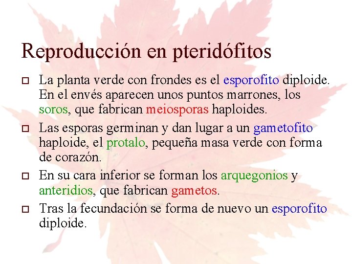 Reproducción en pteridófitos La planta verde con frondes es el esporofito diploide. En el