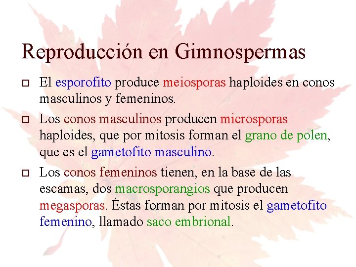 Reproducción en Gimnospermas El esporofito produce meiosporas haploides en conos masculinos y femeninos. Los