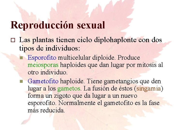 Reproducción sexual Las plantas tienen ciclo diplohaplonte con dos tipos de individuos: Esporofito multicelular