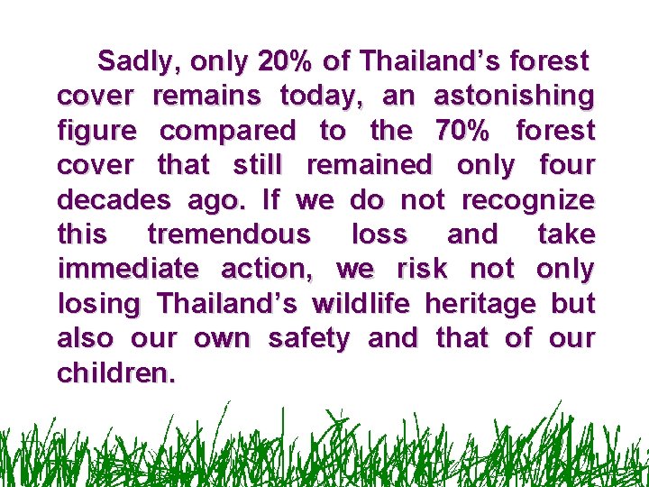 Sadly, only 20% of Thailand’s forest cover remains today, an astonishing figure compared to