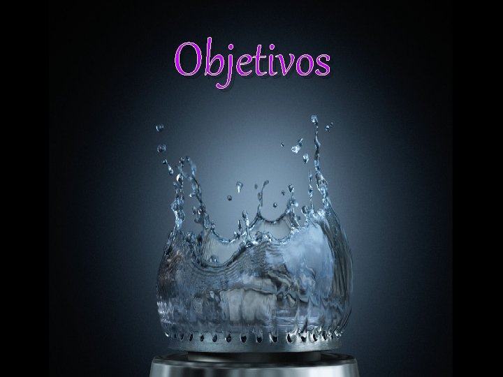 Objetivos 